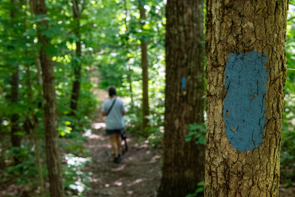 Monte Sano Trail Huntsville Alabama